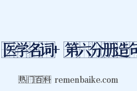 医学名词+第六分册造句是什么意思的图片